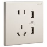 乐鱼开关插座 淳逸 米兰金 带二三插USB充电插座 五孔带USB插座